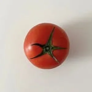 대카이브