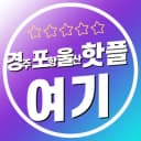 경포울핫플여기